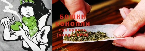прущий лед Магас