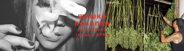 прущий лед Магас