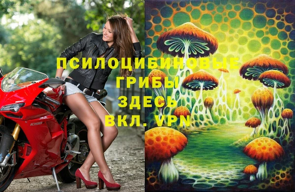 прущий лед Магас