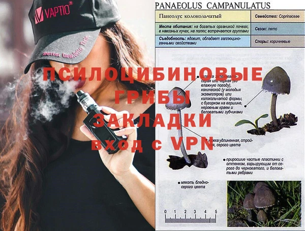 стафф Магадан