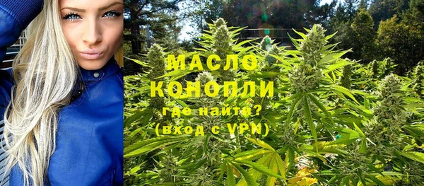 индика Заволжье